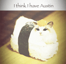 Austin GIF