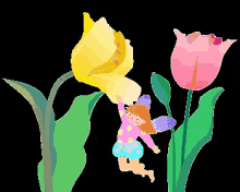 チューリップ 花　春　綺麗　自然 咲く GIF