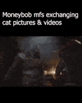 Moneybot Cat GIF - Moneybot Cat Moneybob GIFs