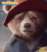 Oso Bear GIF - Oso Bear Paddington GIFs
