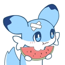 a blue and white cartoon character with a bandage on his head is eating a slice of watermelon