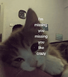 a cat laying down with the words i 'm missing you missing you like crazy above it