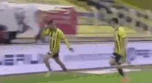 Pelkas Fenerbahçe GIF