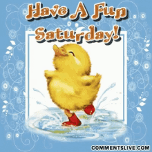 Have A Fun Saturday GIF - Have A Fun Saturday GIFs