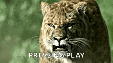 Prehistoric Animal Saber Toothed Cat GIF