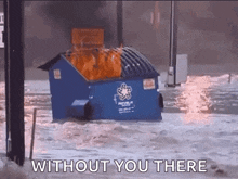Dumpster Fire Disaster GIF