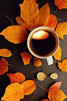 autumn automne cafe coffee