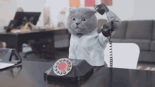 Cat Telephone Cat GIF - Cat Telephone Cat Phone Call GIFs