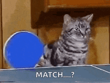GIF
