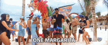 One Margarita Two Margarita GIF - One Margarita Two Margarita Three Margarita GIFs
