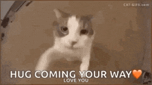 a cat is peeking out of a box with the words `` hug coming your way love you '' written on it .