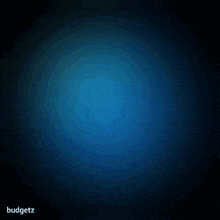 a blue smiley face with a black background and the words budgettz below it