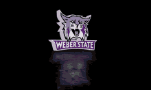 Weber State Weber GIF - Weber State Weber Wildcats GIFs