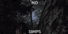 a picture of a tree with the words " no simps " on it