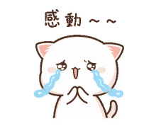mochi sad cat