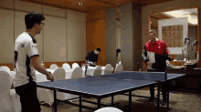 Table Tennis Ping Pong GIF - Table Tennis Ping Pong Playing GIFs