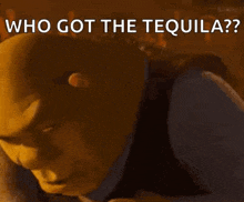 shrek from shrek is laying down with his head on his arm and says `` who got the tequila ? ''