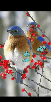 Have A Wonderful Day Bird GIF - Have A Wonderful Day Bird Cute GIFs