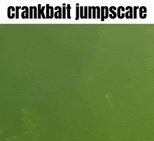 a picture of a crankbait jumpscare fishing lure in the water