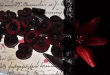 a bunch of cherries are on a piece of paper that says november on it
