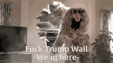 Trump Wall GIF - Trump Wall GIFs
