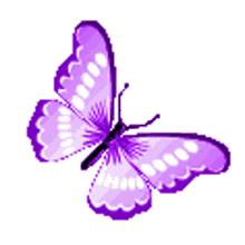 borboletas butterflies beautiful fly purple