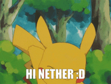 Therealnether Pikachu GIF - Therealnether Pikachu GIFs