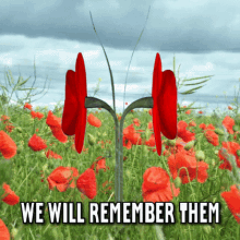 remembrance day poppy day we will remember them poppies 3d gifs artist