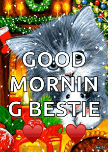 a picture of a cat with the words good morning g bestie written on it