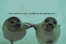Desparate Seals GIF