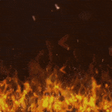 a lion 's head is surrounded by flames in a dark room
