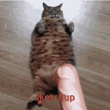 Cat Bread GIF - Cat Bread Sketchup GIFs