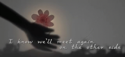I Know Well Meet Again On The Other Side GIF - I Know Well Meet Again On The Other Side I Know GIFs