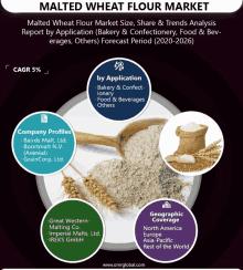Global Malted Wheat Flour Market GIF