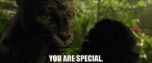 Bagheera You Are Special GIF - Bagheera You Are Special Youre Special GIFs