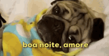 Doug The Pug / Boa Noite Amore / Boa Noite / Beijo GIF - Doug The Pug Good Night Boo Good Night GIFs