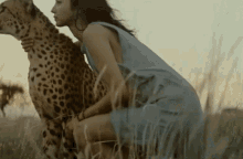 Cheetah Mitsushima Hikari GIF - Cheetah Mitsushima Hikari GIFs
