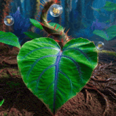 a plant with a heart shaped leaf is surrounded by bubbles and roots