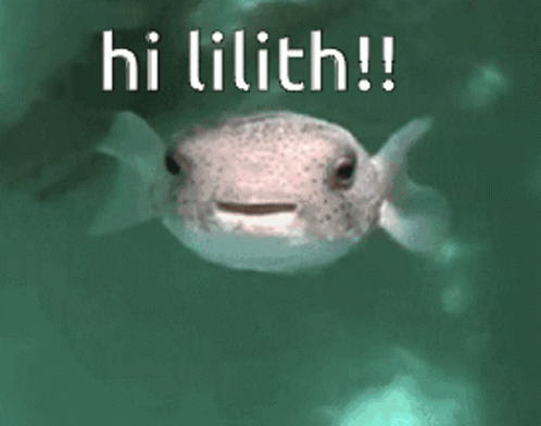 Fish Puffer Fish GIF - Fish Puffer Fish Lilith GIFs