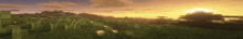 the sun is setting over a field of grass and trees .