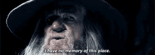 Gandalf I Have No Memory Of This Place GIF
