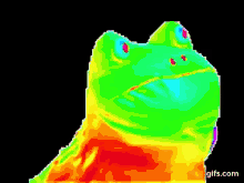 Frog Meme GIF - Frog Meme Rainbow GIFs