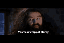 Harry Potter Hagrid GIF - Harry Potter Hagrid Wizard GIFs