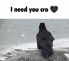 I Need You Cro Crow GIF - I Need You Cro I Need You Crow GIFs