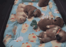 Puppies Crib GIF