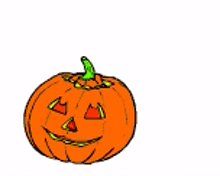 happy halloween halloween day spooky carved pumpkin bat
