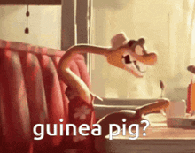 Mr Snake Guinea Pig GIF - Mr Snake Guinea Pig The Bad Guys GIFs