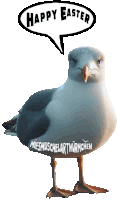 a seagull says happy easter in a speech bubble