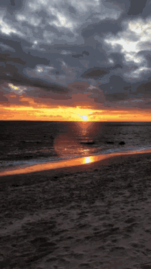 Long Island Sound Meaney GIF - Long Island Sound Meaney Seal GIFs