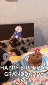 Birthday Surprised GIF - Birthday Surprised Staring GIFs